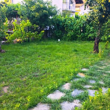 Alpin Guest House Saparewa Banja Zewnętrze zdjęcie