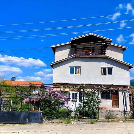 Alpin Guest House Saparewa Banja Zewnętrze zdjęcie