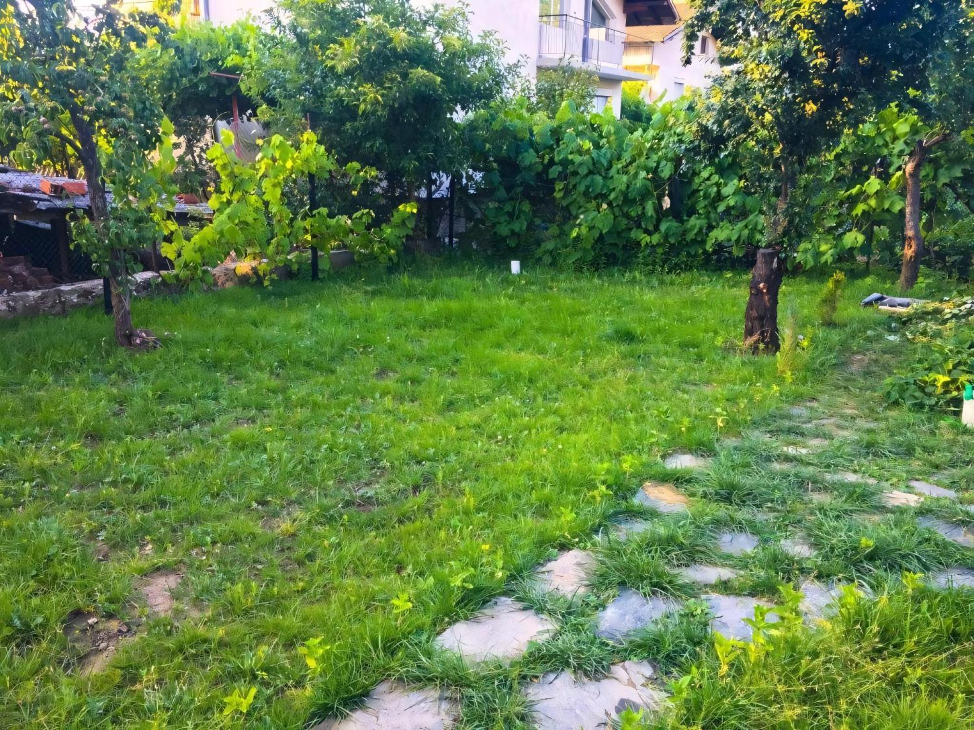 Alpin Guest House Saparewa Banja Zewnętrze zdjęcie